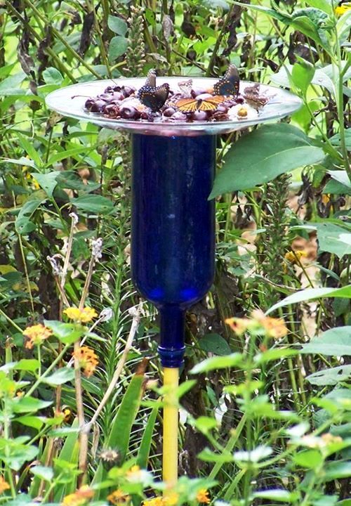 make-sue-s-blue-glass-butterfly-feeder-flea-market-gardening