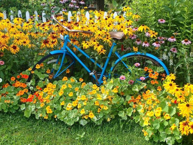 Pedals & Petals,... garden bicycles | Flea Market Gardening