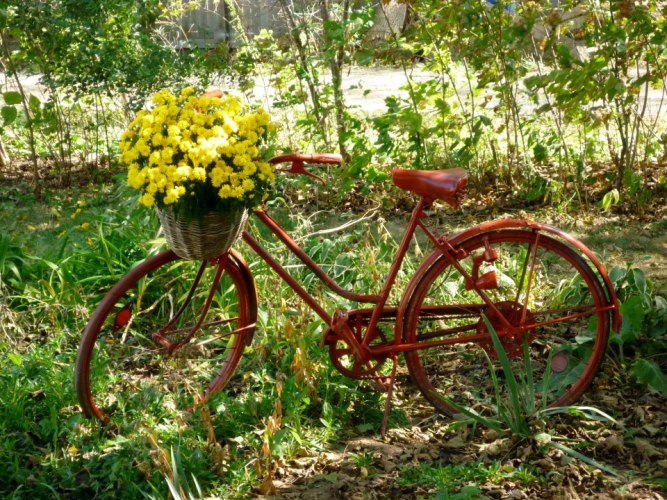 Pedals & Petals,… garden bicycles – Flea Market Gardening